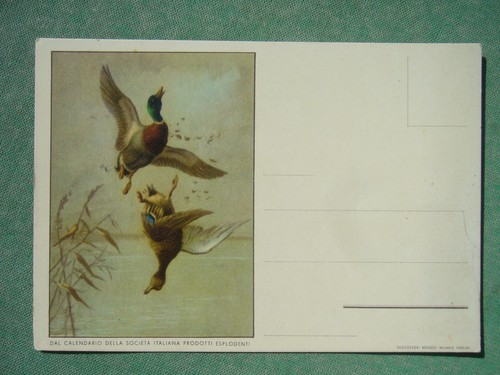 Cartolina originale 1935 - cartolina,